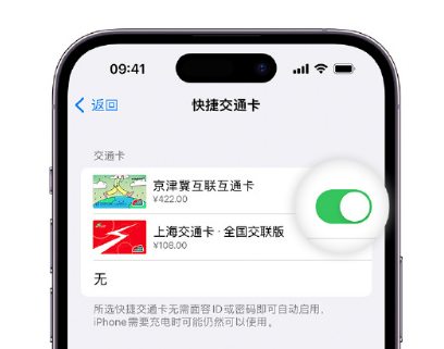 爱辉apple维修点分享iPhone上更换Apple Pay快捷交通卡手绘卡面 