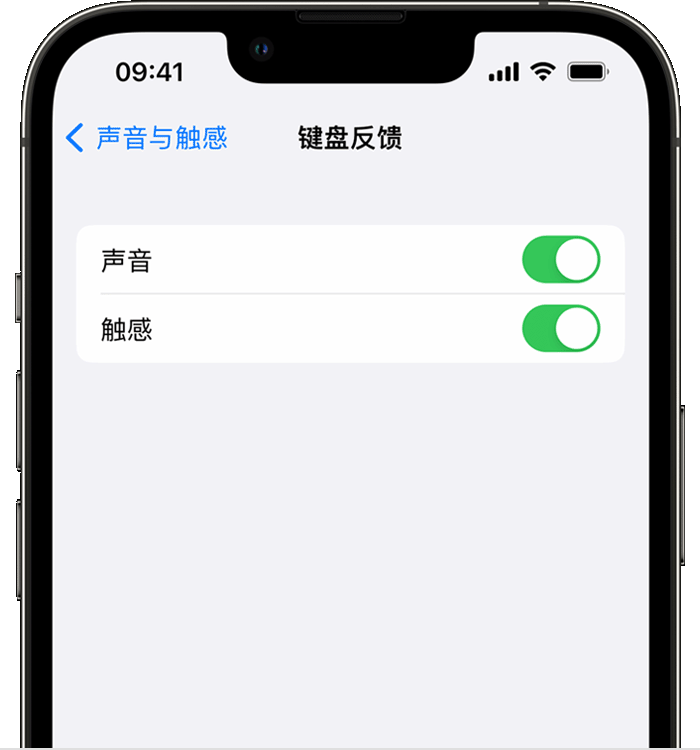 爱辉苹果14维修店分享如何在 iPhone 14 机型中使用触感键盘 