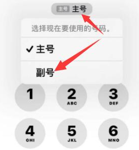 爱辉苹果14维修店分享iPhone 14 Pro Max使用副卡打电话的方法 