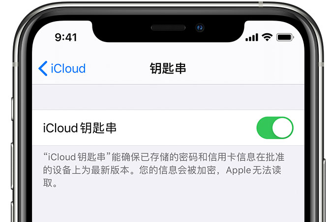 爱辉苹果手机维修分享在 iPhone 上开启 iCloud 钥匙串之后会储存哪些信息 