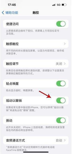 爱辉苹果手机维修分享iPhone手机如何设置摇一摇删除文字 