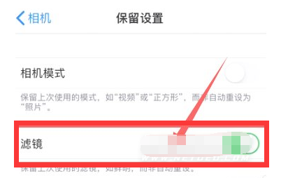 爱辉苹果13维修分享iPhone13拍照有绿点是怎么回事 