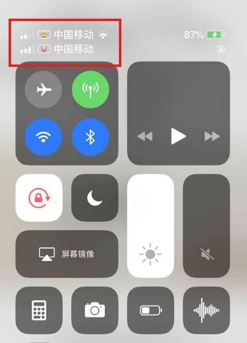 爱辉苹果手机维修分享为 iPhone 12 双卡设置标签 